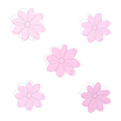 A set of five soft pink cosmos flowers. Vector, white background.