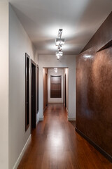 empty corridor with wooden doors to other rooms in modern house