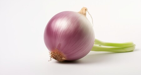 Single Onion Vegitables with white background.