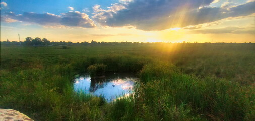 Fototapeta na wymiar Small Pond 