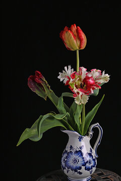 Parrot tulips in vase on a black table, creating a striking contrast