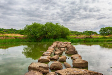 the spring scenery of the swamp