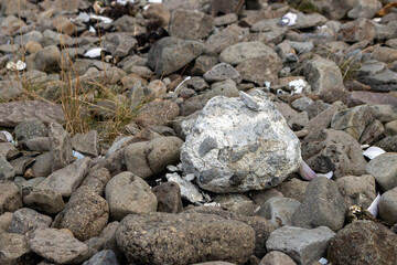 White stone among dark volcanic, Westfjords, Iceland