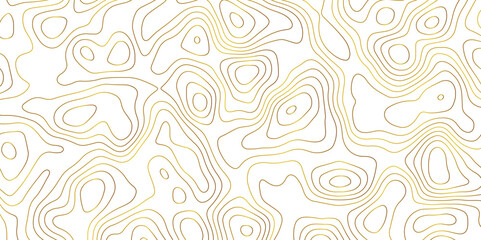 Obraz premium Topographic map and landscape terrain texture grid. Abstract lines background. Contour maps. Vector illustration. golden and white topographic contours lines of mountains. 