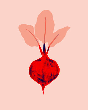 Vibrant vegetable illustration red beetroot