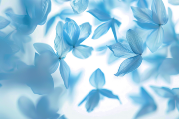 Ethereal Blue Flowers in Motion