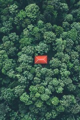 Drone view of a mountain cabin