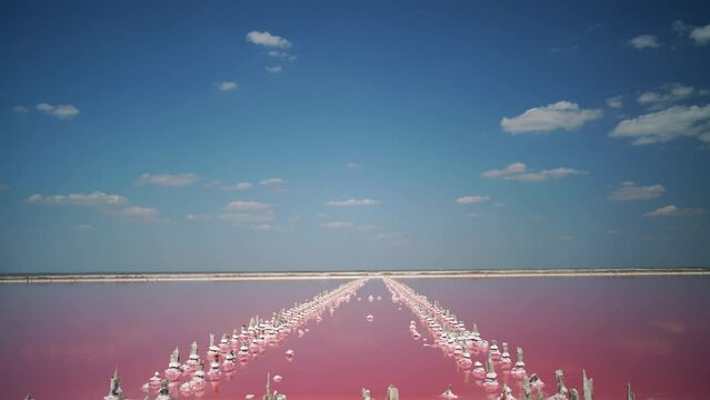 pink salt lake with microalgae Dunaliella salina. Pond of a salt mining enterprise, marking posts