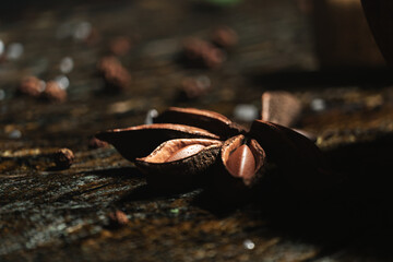 Close-up View of Star Anise Pods on a Rustic Wooden Background in Natural Light
