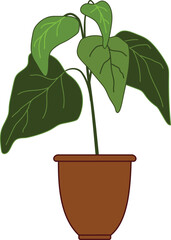 Tree flower pot icon cartoon vector. Garden botanical window. Exotic container