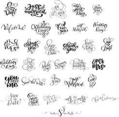 set of elements wedding vector calligraphy series