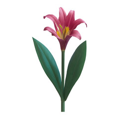 Freesia flower png isolated on transparent background