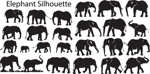 Obraz premium Set of Silhouette Elephant Vector illustration. Black Elephant Silhouette vector collection. Black and white Elephant
