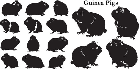 Guinea Pigs Silhouette Vector illustration. Set of Silhouette Pigs vector collection.
