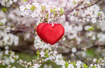 A symbol of love among the branches of a blooming cherry tree
