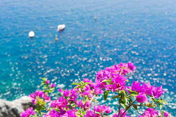 Amalfi coast, Italy - 767105934