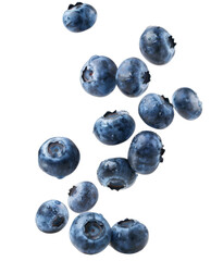 Falling blueberry, clipping path, isolated on white background, full depth of field