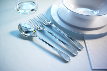 Sophisticated Dining Table Setup Featuring Exquisite Porcelain & Silverware