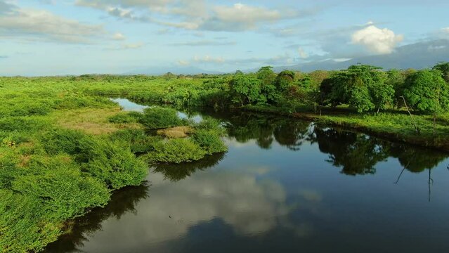 Flying above the river in Costa rica jungle forest, close to Jaco town. Drone view of a river flowing into the ocean. Blue sky and clouds reflection in to the water. 4K wide angle.