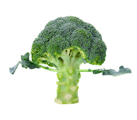Fresh broccoli transparent png