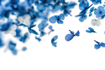 Blurry Butterflies in Flight