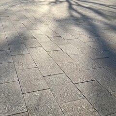 タイル舗装の広場に伸びる街路樹の影