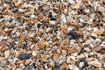 Details stones on a shingle beach Weston Shore Southampton.