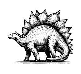 Stegosaurus hand drawn vector illustration Dinosaur