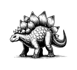 Stegosaurus hand drawn vector illustration Dinosaur