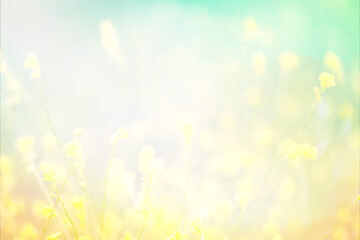 Summer Abstract Background. Beautiful yellow field with wildflowers. Spring Abstract Background
