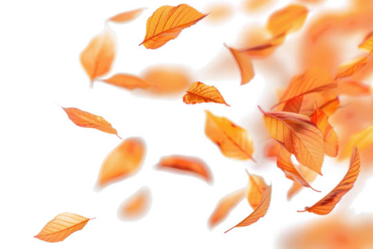 Autumn Leaves in Blurry Motion