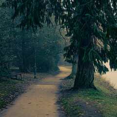 misty winding path beside the River Ness
