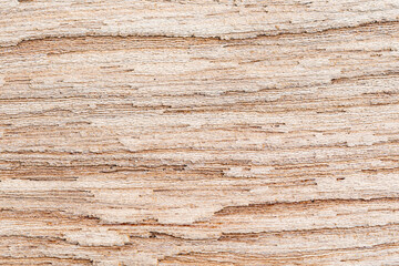 Closeup view surface texture  of rotten softwood old rough grunge abandoned wood wall