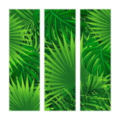 Amazon tropical leaves vector illustration. Rainforest foliage print for apparel, t-shirts designs and travel cards. Jungle plants backdrop. Green wallpaper with tropic palm leaf. Summer background