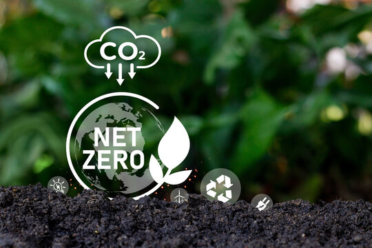 Carbon Neutrality and Net Zero concept