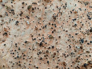 gravel, pebbles and soil closeup background