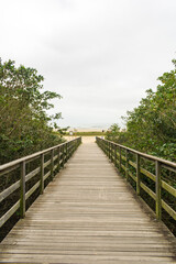 Fototapeta premium Wooden platform leading to Forte beach in São Francisco do Sul island - Santa Catarina (South of Brazil)
