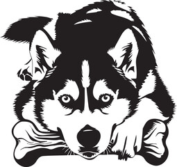 illustration of a siberian husky dog with a bone