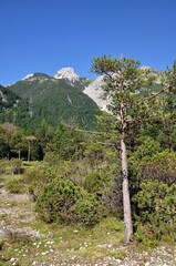 Entlang der Isar