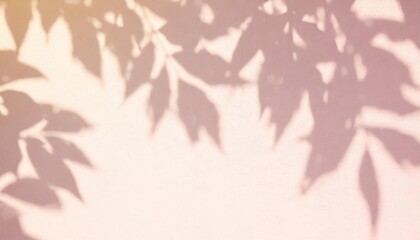 shadow and light pink background of leaf shadow tree branch on white wall texture shadow overlay effect