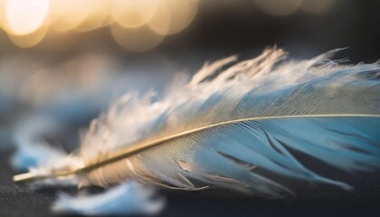 close up blue feather on black background with blurry image of feathers and bird s feathers