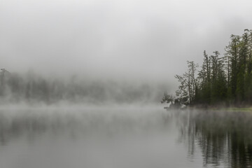 Fototapeta premium fog on the lake. gloomy foggy long lake with trees, nature concept