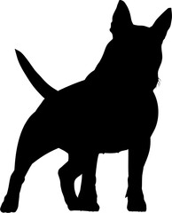 Vector isolated black silhouette of a dog English Bull Terrier. Simple hand made outline sketch on the white background. Graphic, logo, icon, tattoo.