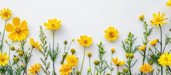 Composition of flowers arranged in a frame, featuring a variety of yellow flowers on a white background. Represents Easter, spring, and summer themes.