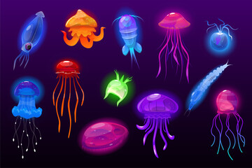 Jellyfish and plankton. Luminous deep sea inhabitants. Underwater invertebrate animals. Transparent marine medusa. Ocean fauna. Poisonous tentacles. Shiny undersea creatures vector set