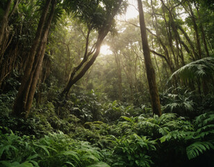 Dense Rainforest Undergrowth and Sunlight Filtering Through