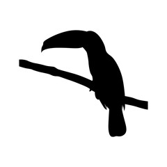Toucan bird animal shape icon