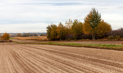 Fototapeta na wymiar Beautiful autumn landscape in the countryside.