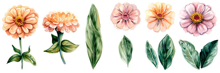 Watercolor style flower material with transparent background