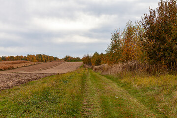 Beautiful autumn landscape in the countryside.